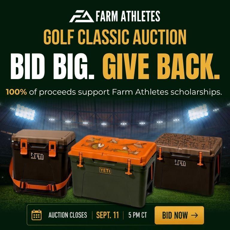 Charity auctions — bid big, give back.