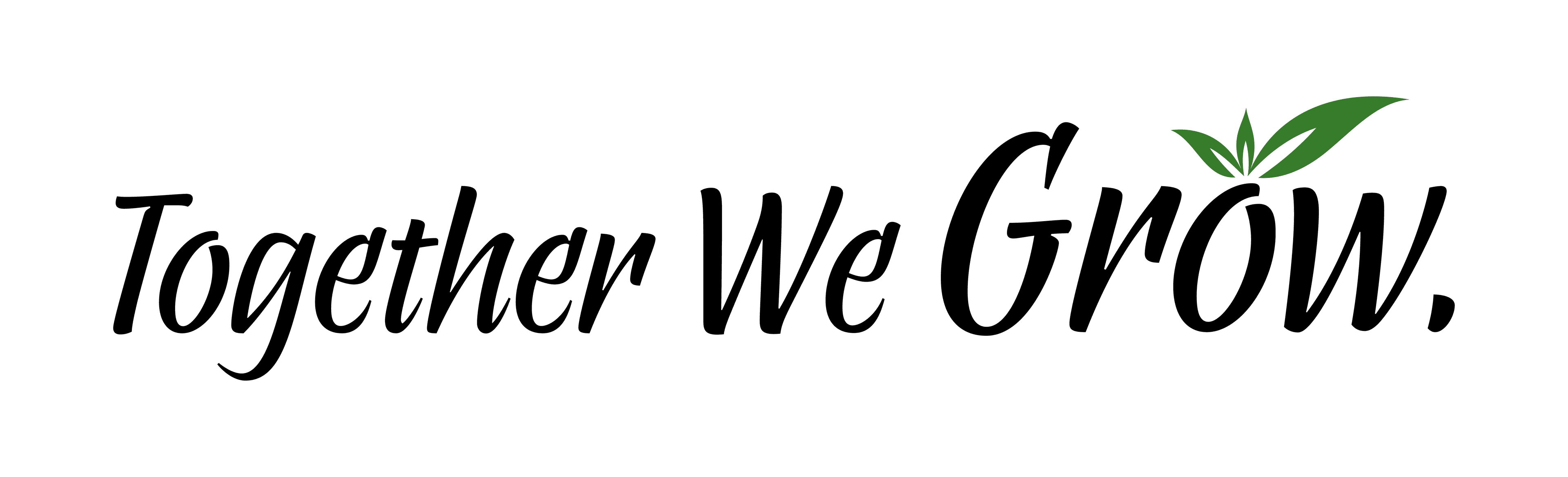 Dealer Banner